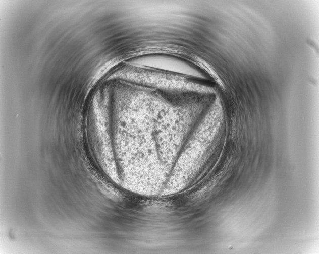 X0000093170786200710241039