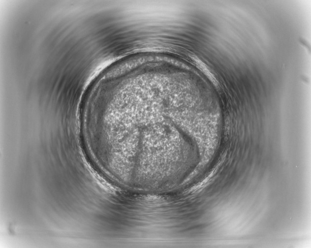 X0000093170787200710241039