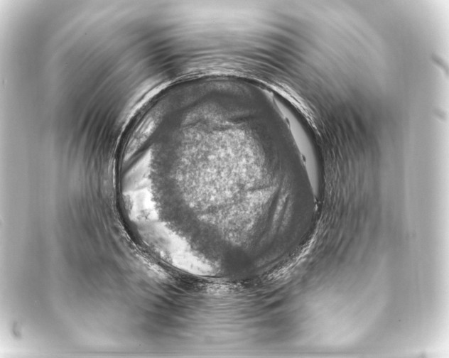 X0000093170790200710241039