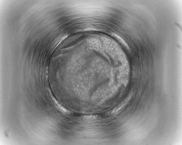 X0000093170793200710241039