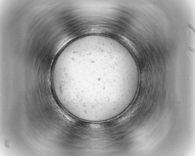 X0000093170794200710241039