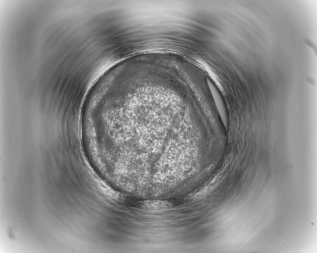 X0000093170795200710241039