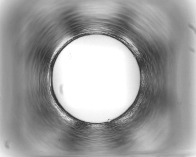 X0000093170796200710241039