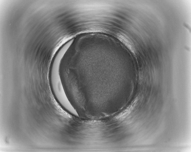 X0000093170797200710241039