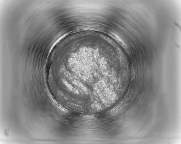 X0000093170798200710241039