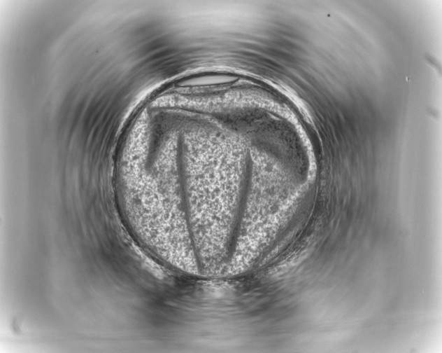 X0000093170799200710241039