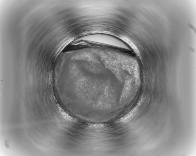 X0000093170801200710241039