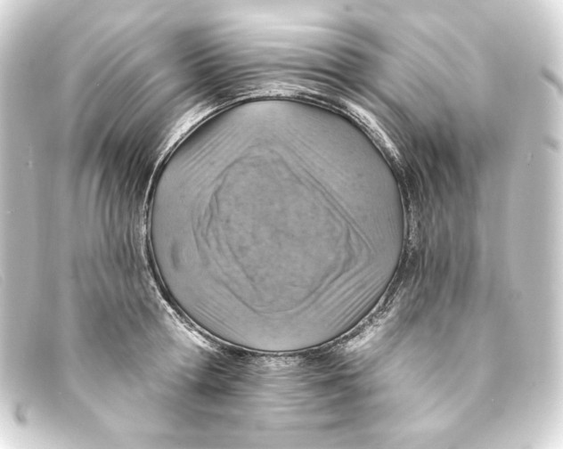 X0000093170802200710241039