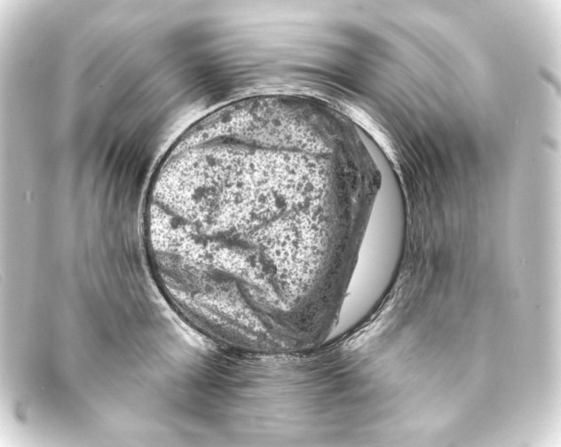 X0000093170803200710241039