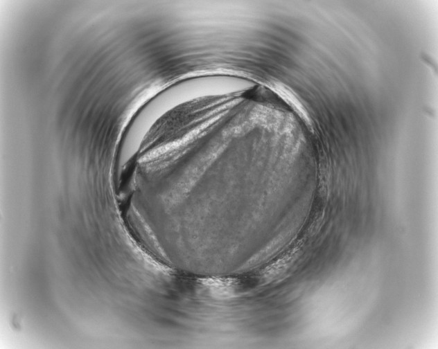 X0000093170805200710241038