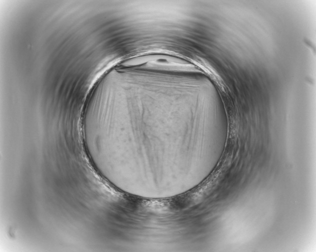 X0000093170806200710241038