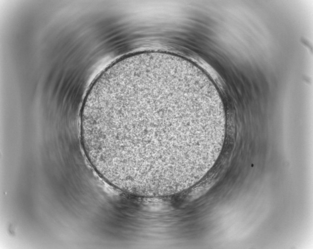 X0000093170807200710241038