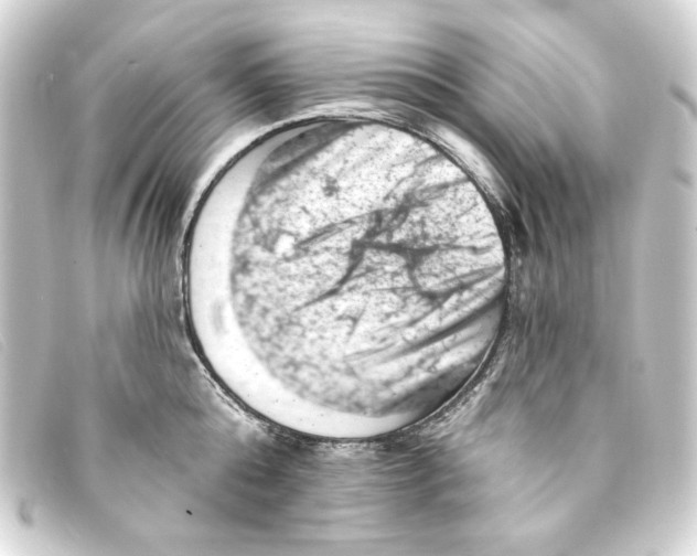 X0000093170808200710241038