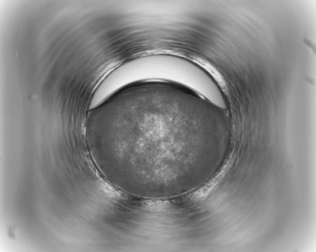 X0000093170809200710241038