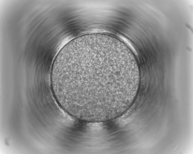 X0000093170810200710241038