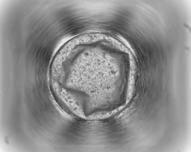 X0000093170811200710241038