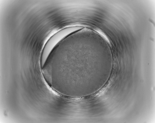 X0000093170813200710241038