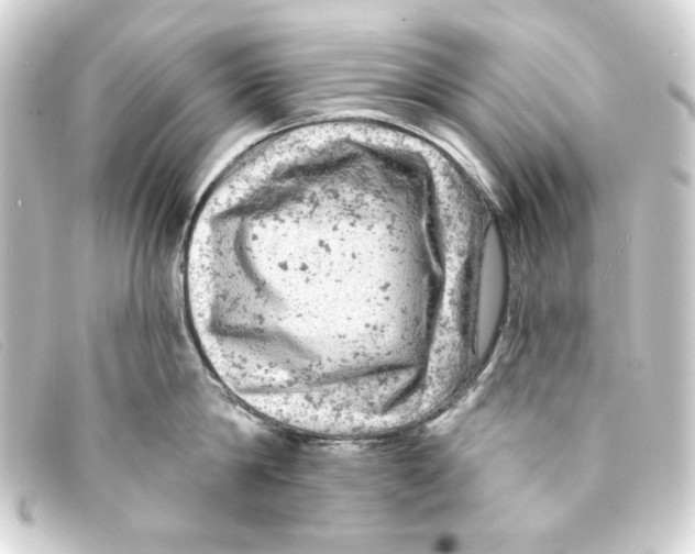 X0000093170814200710241038