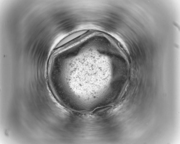 X0000093170815200710241038