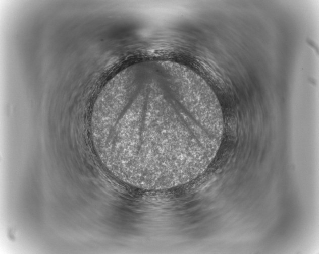 X0000093170817200710241038