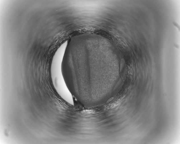 X0000093170818200710241038