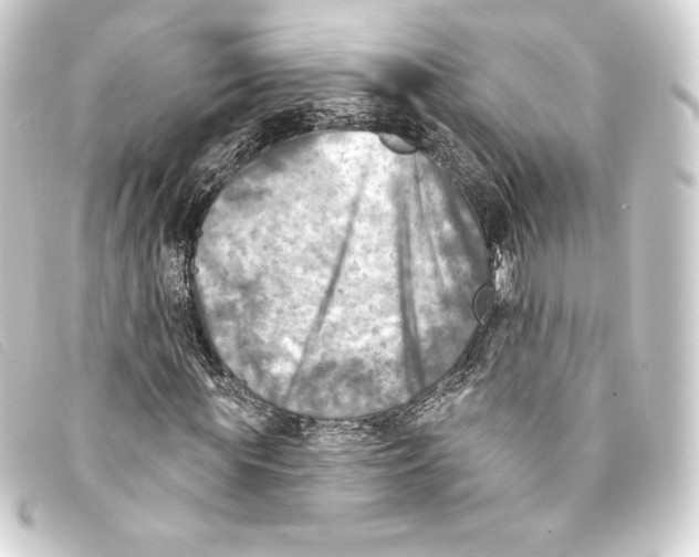 X0000093170819200710241038