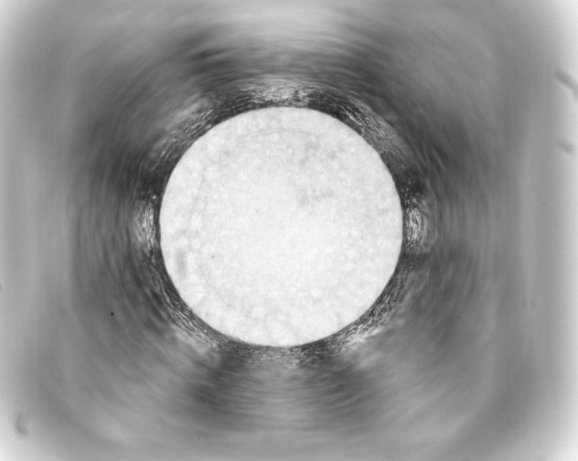 X0000093170820200710241038