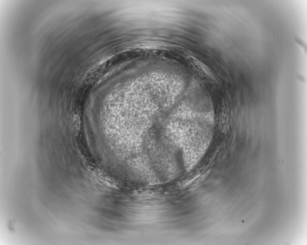 X0000093170821200710241038