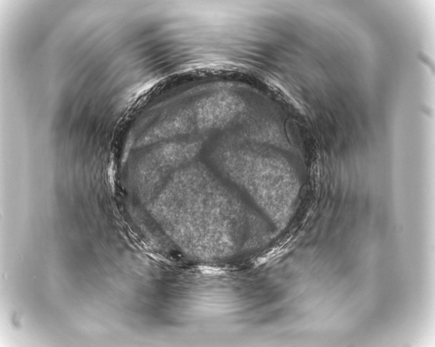 X0000093170822200710241038