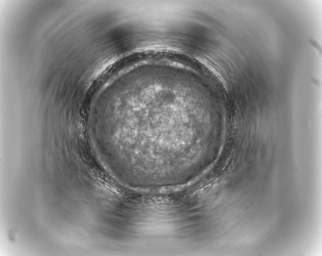 X0000093170823200710241038