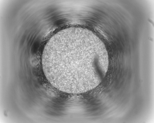 X0000093170824200710241038