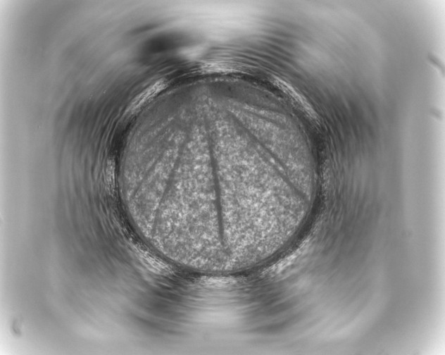 X0000093170825200710241038