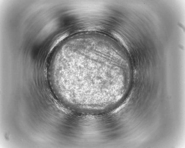 X0000093170827200710241038