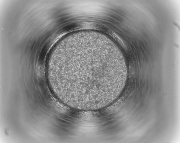 X0000093170828200710241038