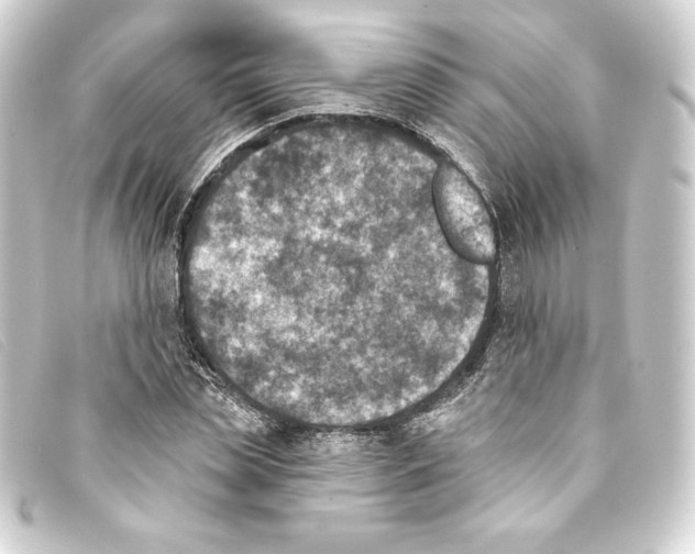 X0000093170829200710241038