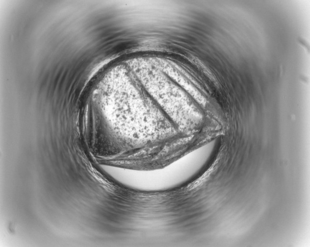 X0000093170830200710241038