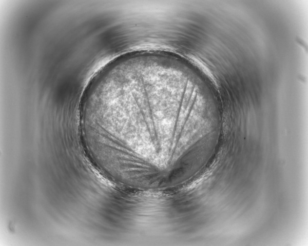 X0000093170831200710241038