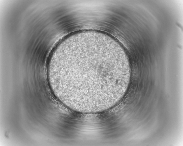 X0000093170832200710241038