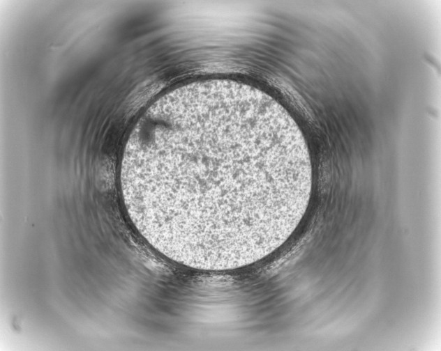 X0000093170833200710241038