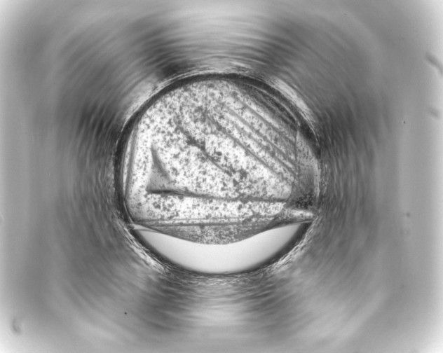 X0000093170834200710241038