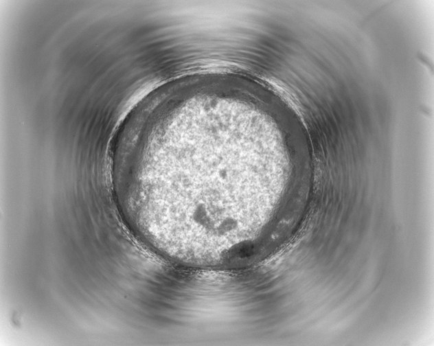 X0000093170835200710241038