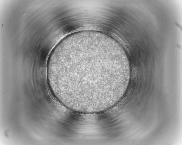 X0000093170836200710241038