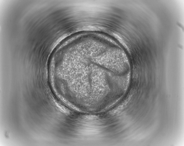 X0000093170837200710241038