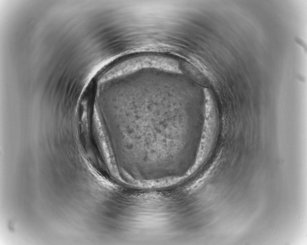 X0000093170838200710241038