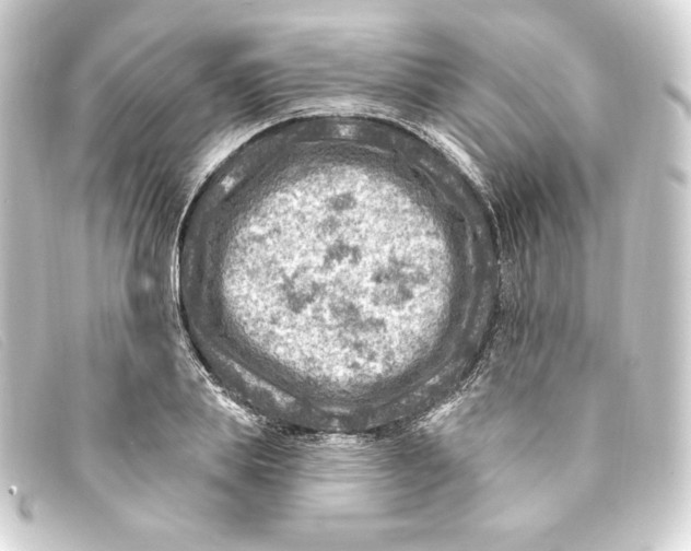 X0000093170839200710241038