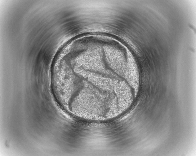 X0000093170840200710241038