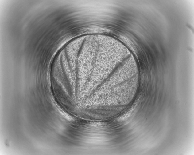 X0000093170843200710241038