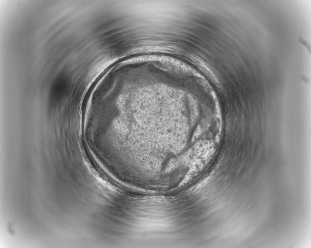 X0000093170844200710241038