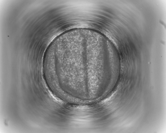 X0000093170845200710241038