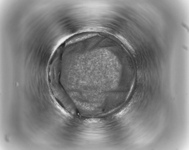 X0000093170846200710241038